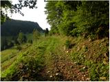 Črnivec - Planina Travnik